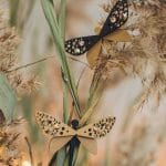 Spārītes piespraude ar kristāliem FLYD91